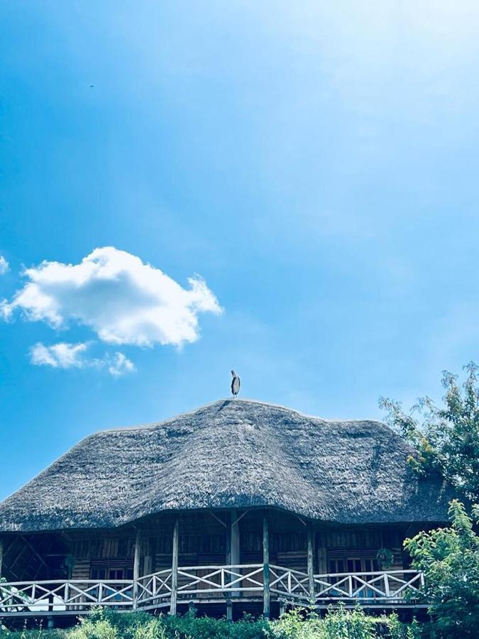 Tembo Safari Lodge Katunguru Zewnętrze zdjęcie