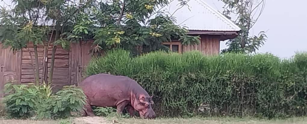 Tembo Safari Lodge Katunguru Zewnętrze zdjęcie