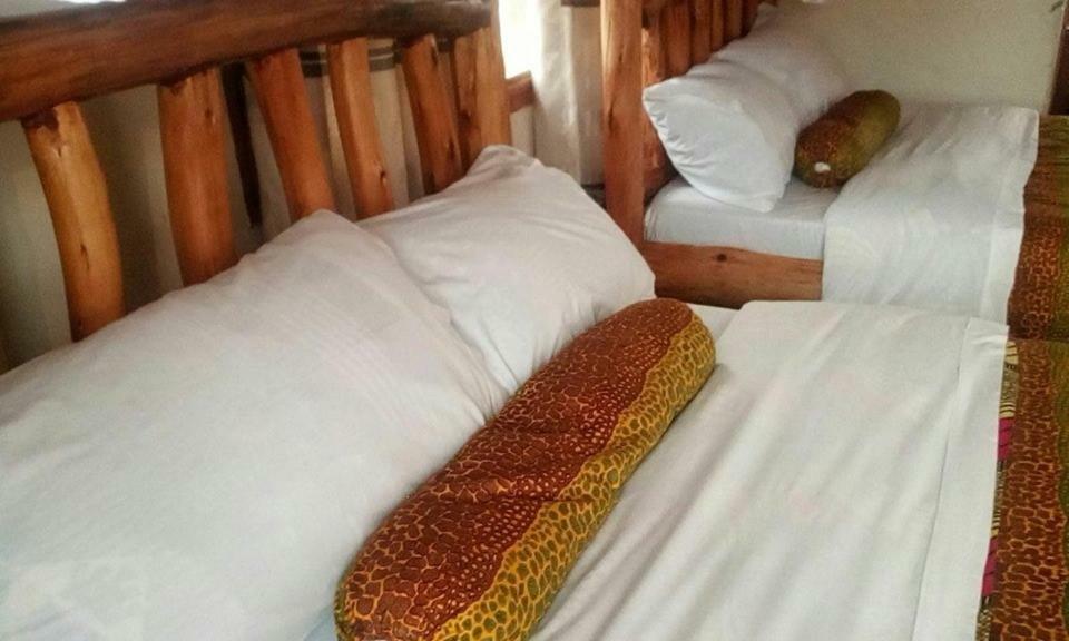 Tembo Safari Lodge Katunguru Zewnętrze zdjęcie